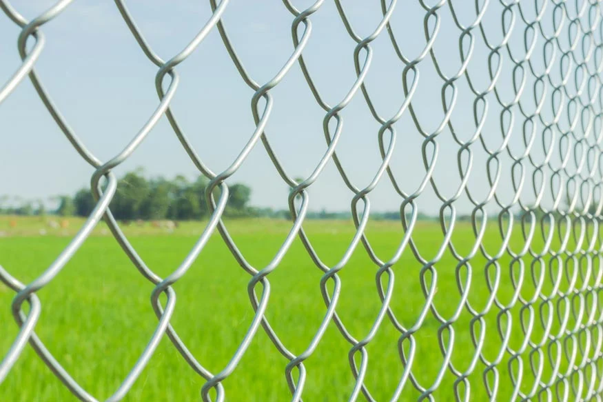 Manufacturer Hot DIP Galvanized Screen Used Chain Link Fence for Sale